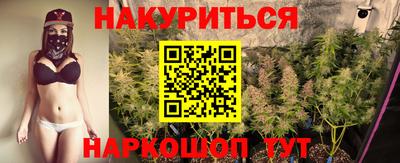 индика Пугачёв